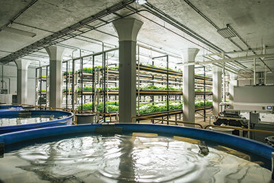 Aquaponics Farm Urban Organics Plans Expansion
